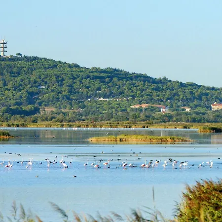 Apartment Le Sunset-cap Sud-14 By Interhome *